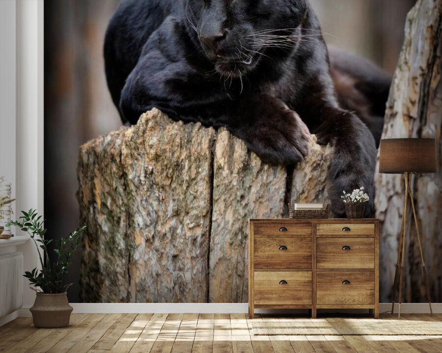 u54741pig41 u54741pig41