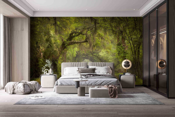 Wall murals Dirt road with trees and mossy branches Wall murals Dirt road with trees and mossy branches