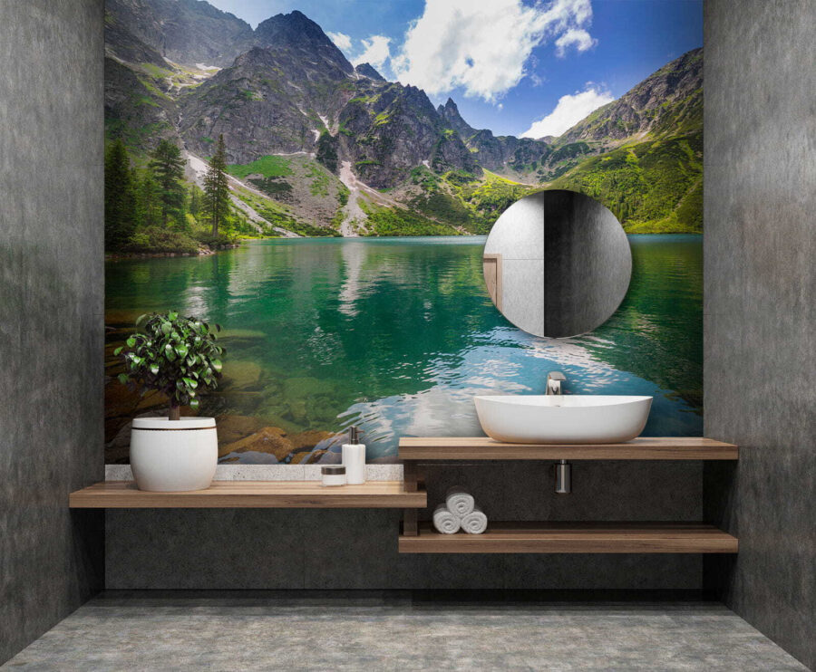 u54486pit1 u54486pit1