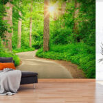 Wall murals Sunlight through lush green forest.