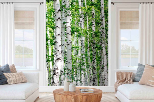 Wall murals Group of trees with green leaves Wall murals Group of trees with green leaves