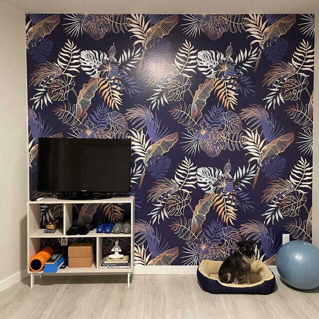 u53271pig1 u53271pig1