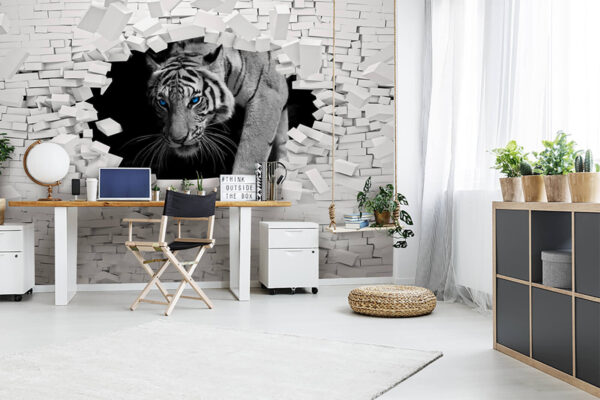White tiger with blue eyes Wall murals White tiger with blue eyes