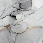 u49256p