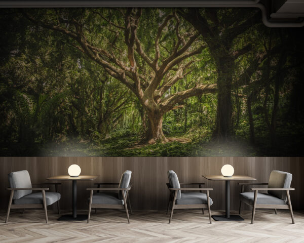 Wall murals Large tree in a forest Wall murals Large tree in a forest