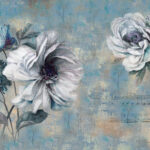 u42829p