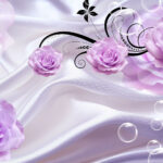 u42142p