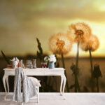Wall murals Dandelions dancing in the gentle breeze