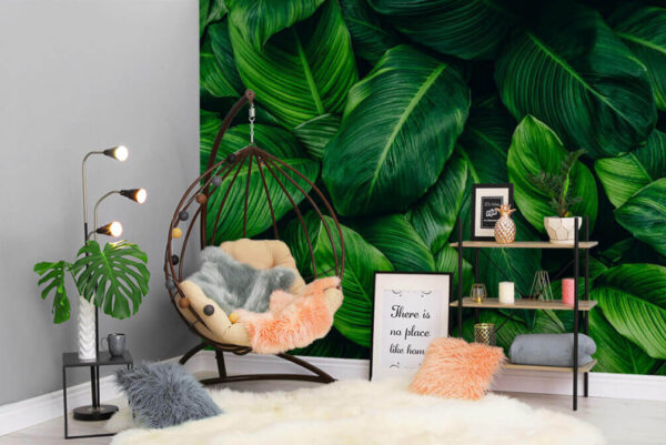 Wall murals Group of green leaves Wall murals Group of green leaves