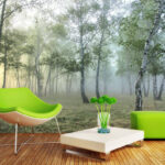 Wall murals Misty sunrise in a tranquil forest