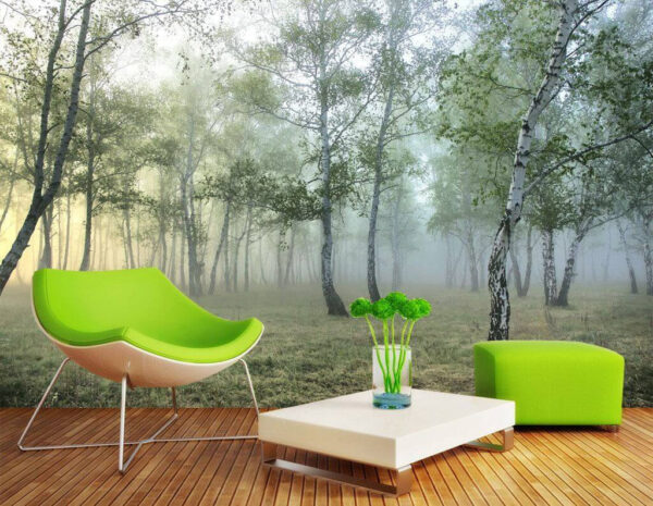 Misty sunrise in a tranquil forest Wall murals Misty sunrise in a tranquil forest