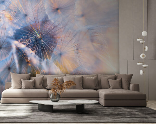 Wall murals Dandelion seeds in soft light Wall murals Dandelion seeds in soft light