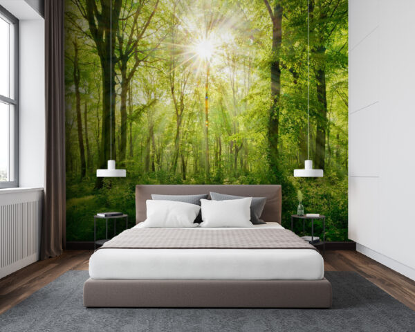 Sun shining through the trees Wall murals Sun shining through the trees