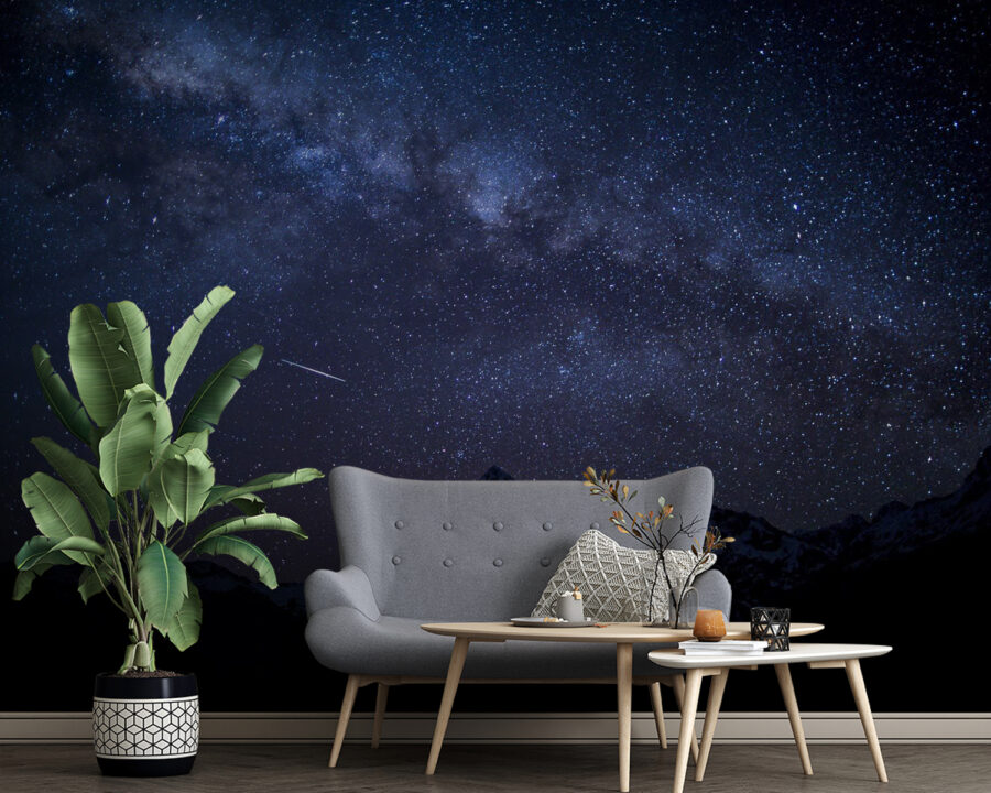 u21477pig4 u21477pig4