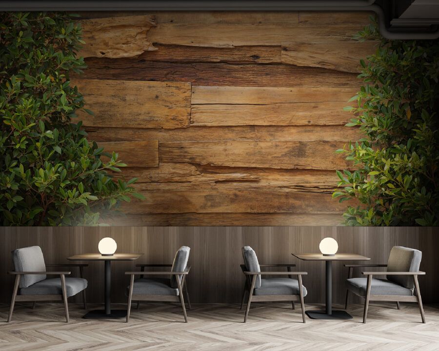 u21117piz137 u21117piz137