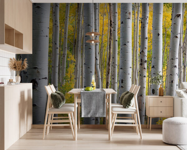 Wall murals Group of white trees with yellow leaves Wall murals Group of white trees with yellow leaves