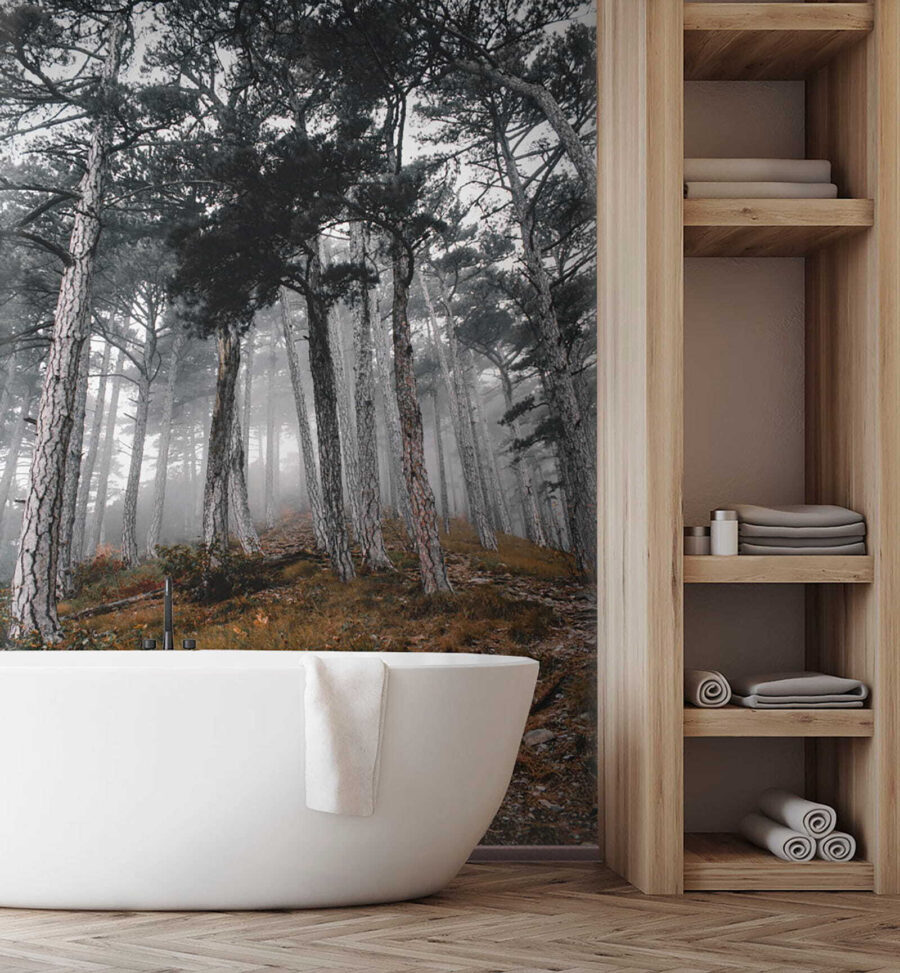 u12556pit2 u12556pit2