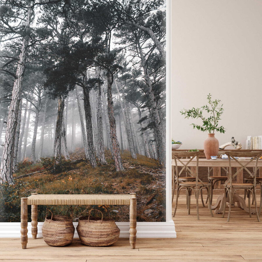 u12556pih4 u12556pih4