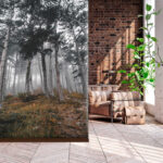 Wall murals Forest with trees in the fog