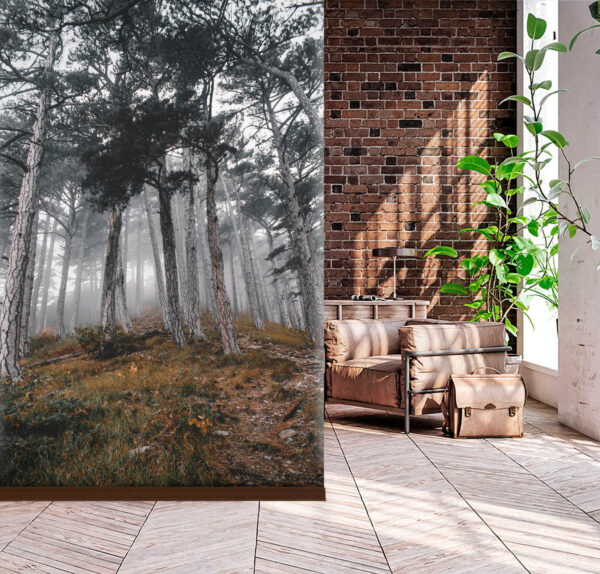 Wall murals Forest with trees in the fog Wall murals Forest with trees in the fog