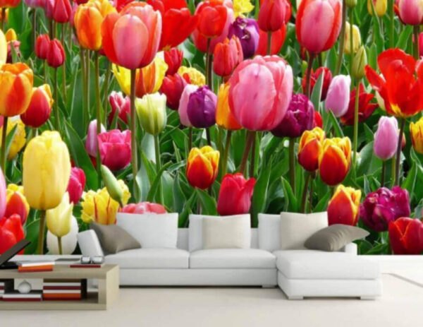 Wall murals Group of colorful tulips Wall murals Group of colorful tulips