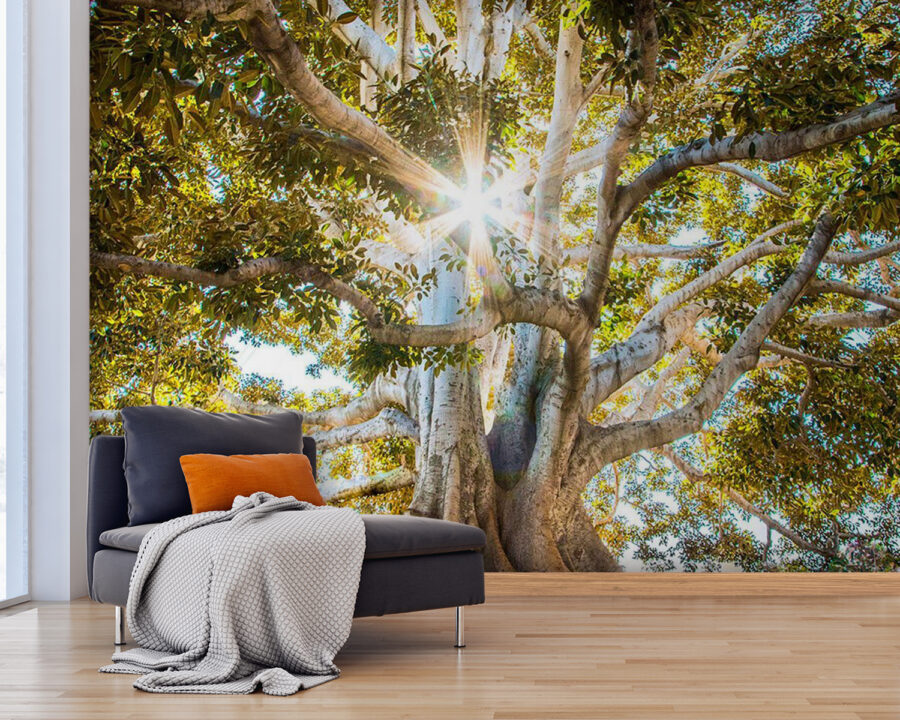 u01271pig25 u01271pig25