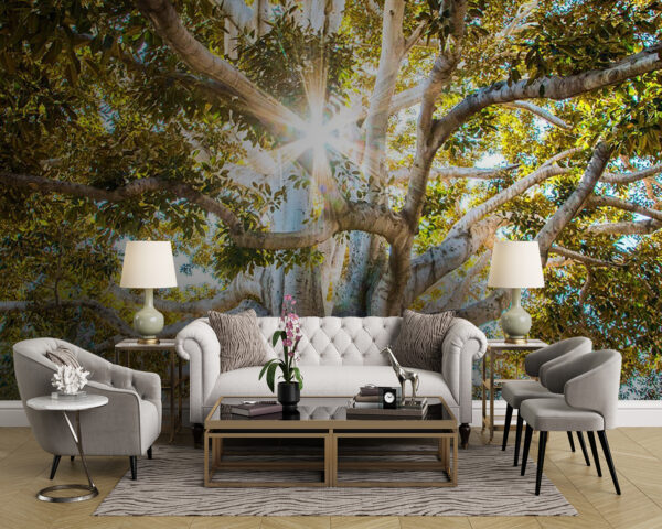 Wall murals Majestic tree capturing sunlight's essence Wall murals Majestic tree capturing sunlight's essence