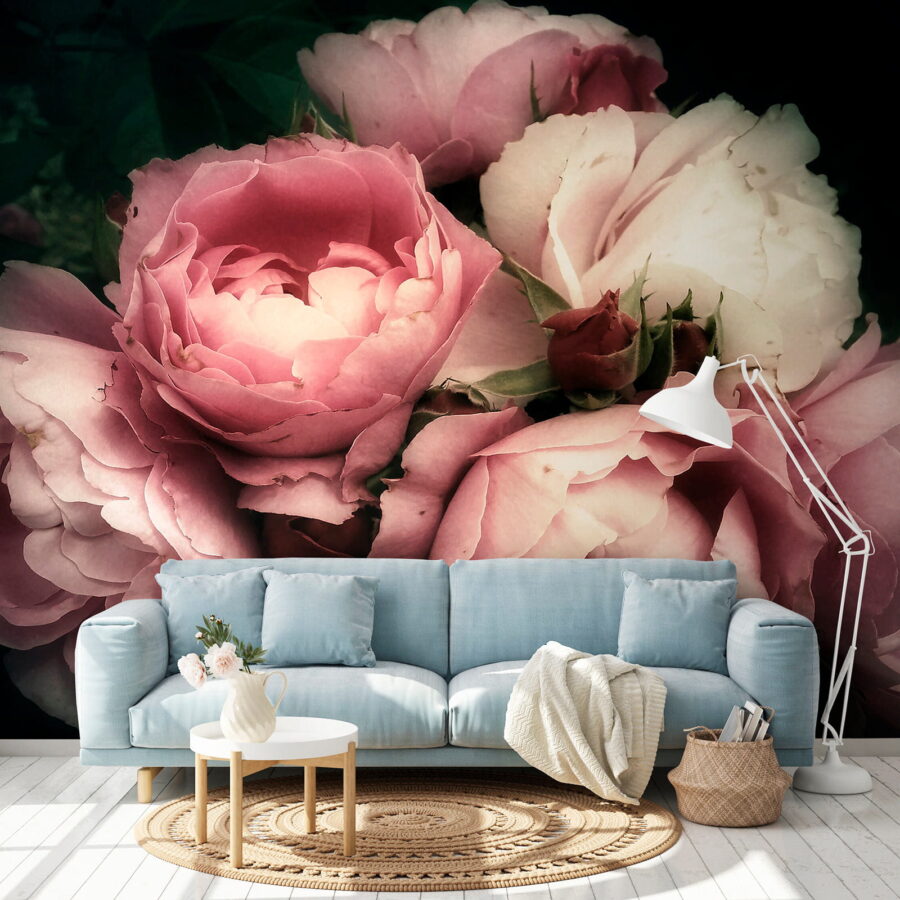 u08062pig1 u08062pig1