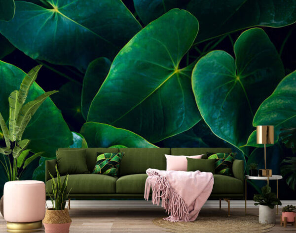 Wall murals Lush green leaves in soft light Wall murals Lush green leaves in soft light
