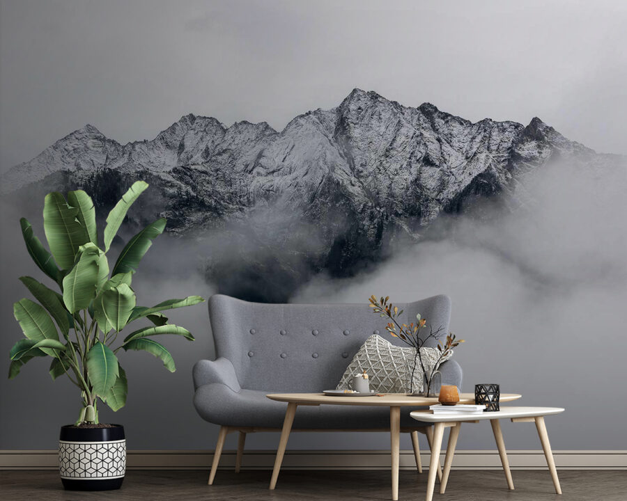 u41570pig4 u41570pig4