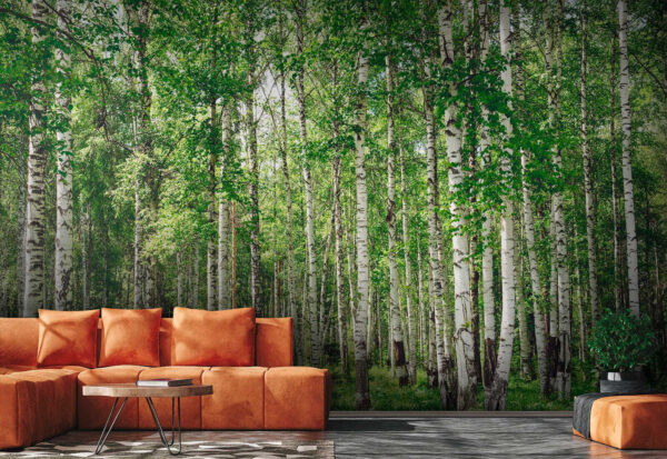 Wall murals Group of trees with green leaves (SKU: u52530)