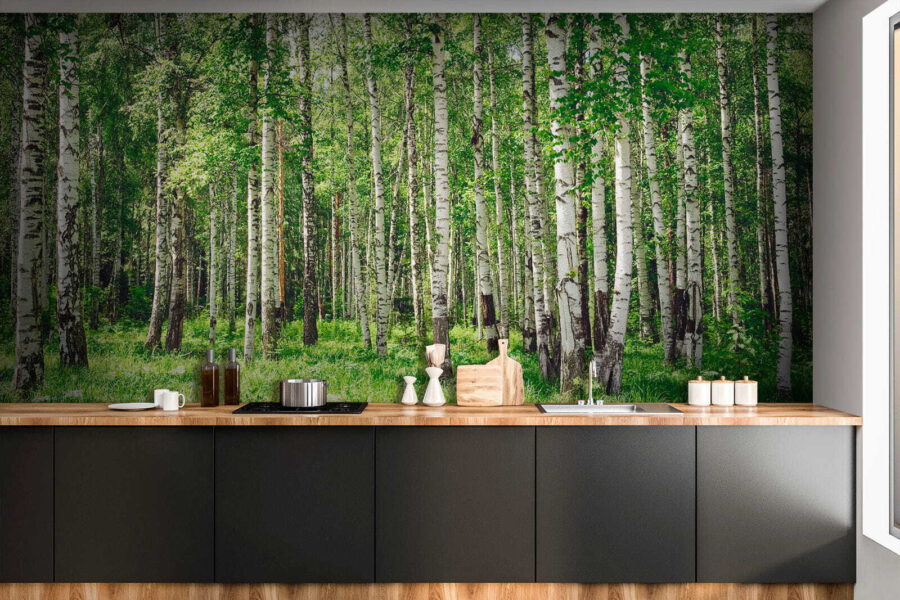 u52530pik1 u52530pik1