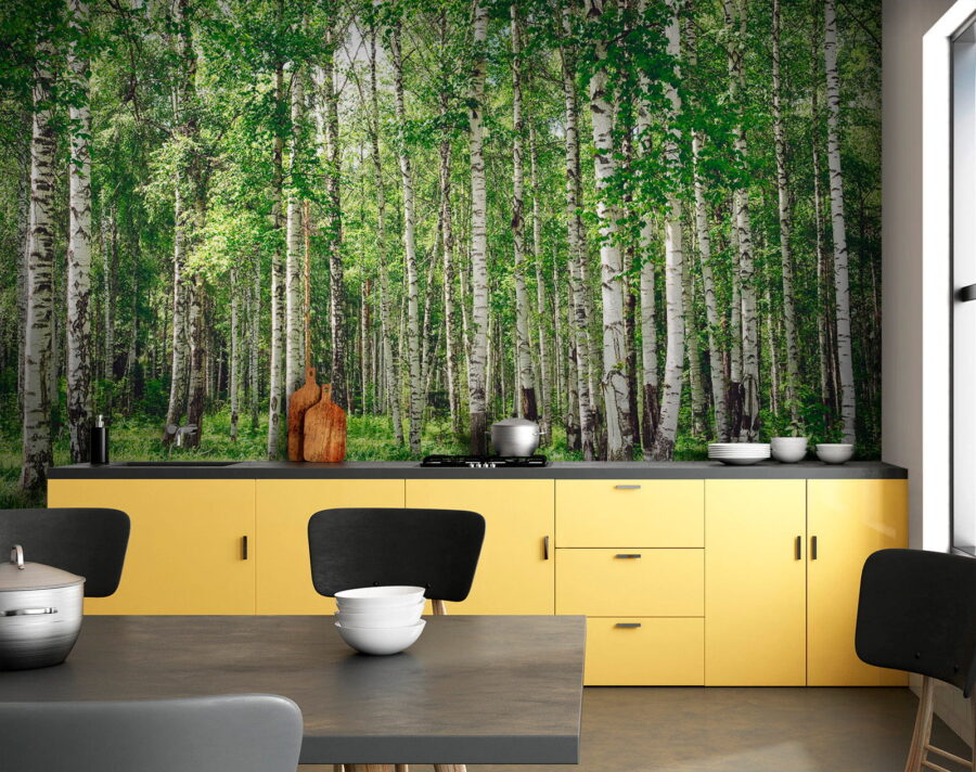 u52530pik3 u52530pik3