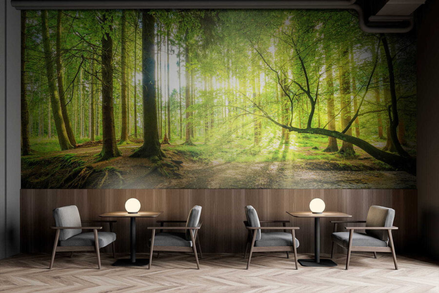 u52615piz1 u52615piz1