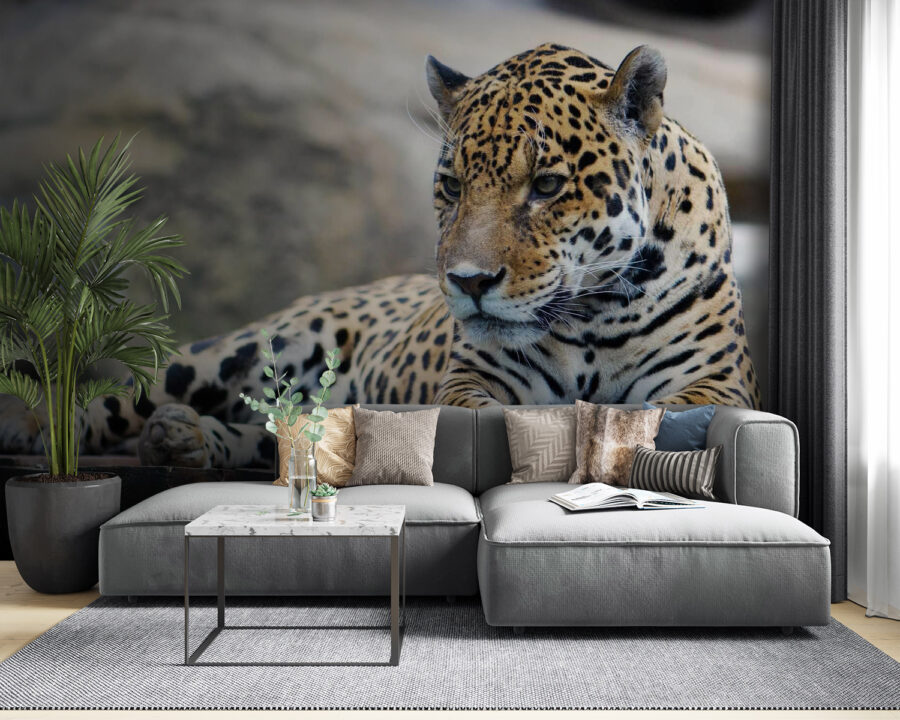 u55313pig53 u55313pig53