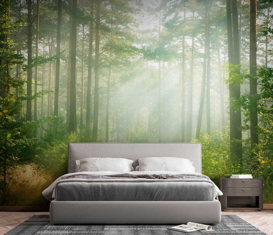 u56162pib4 u56162pib4