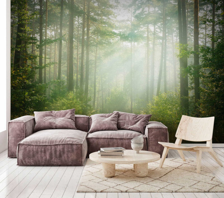 u56162pig1 u56162pig1