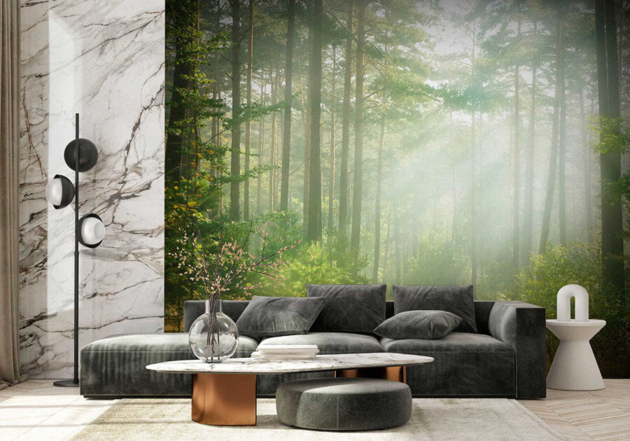 u56162pig2 u56162pig2