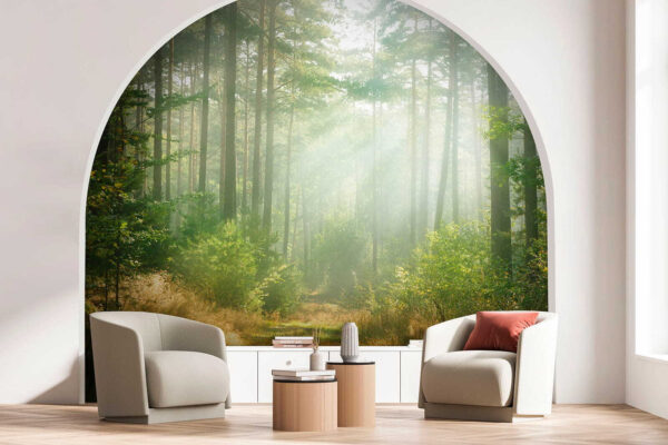 Sunlight streaming through forest trees Wall murals Sunlight streaming through forest trees