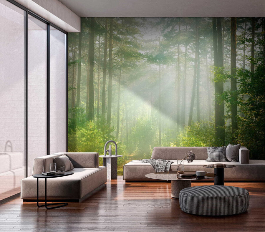 u56162pig5 u56162pig5