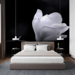 Wall murals White flower on a branch
