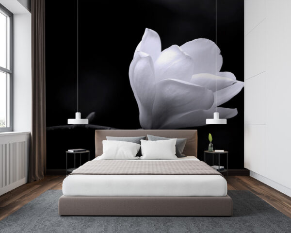 Wall murals White flower on a branch Wall murals White flower on a branch