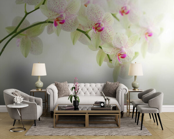 Orchids reflecting in tranquil water Wall murals Orchids reflecting in tranquil water