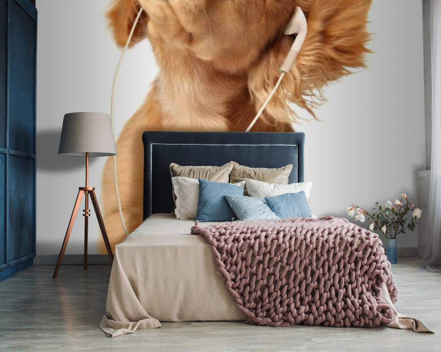 u56551pib87 u56551pib87