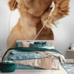 Wall murals Dog with earphones on