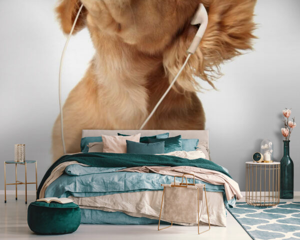Wall murals Dog with earphones on Wall murals Dog with earphones on