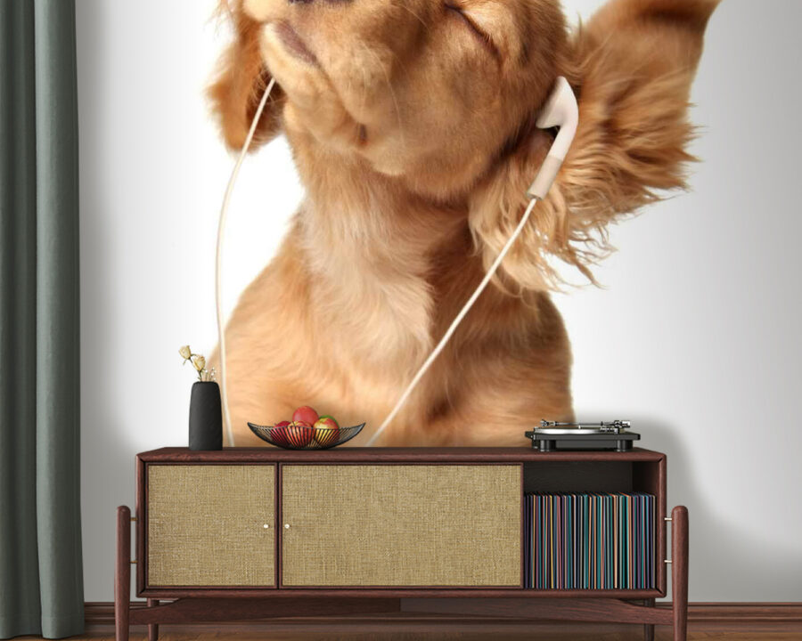 u56551pig20 u56551pig20