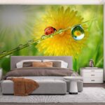 Wall murals Ladybug on a blade of grass