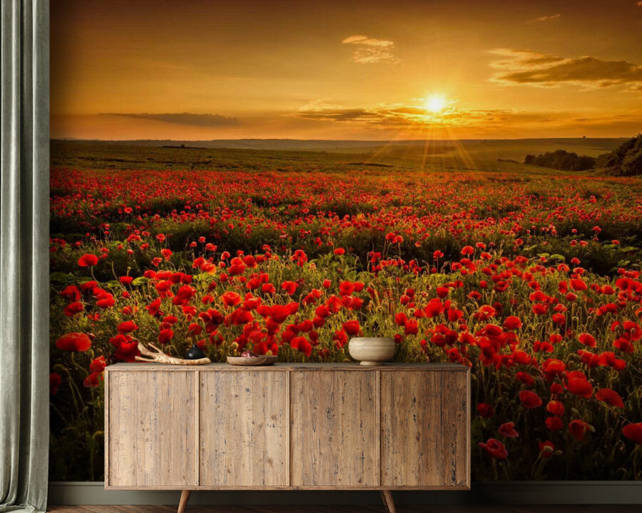 u56716pig21 u56716pig21