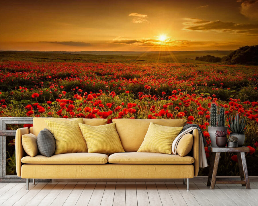 u56716pig36 u56716pig36